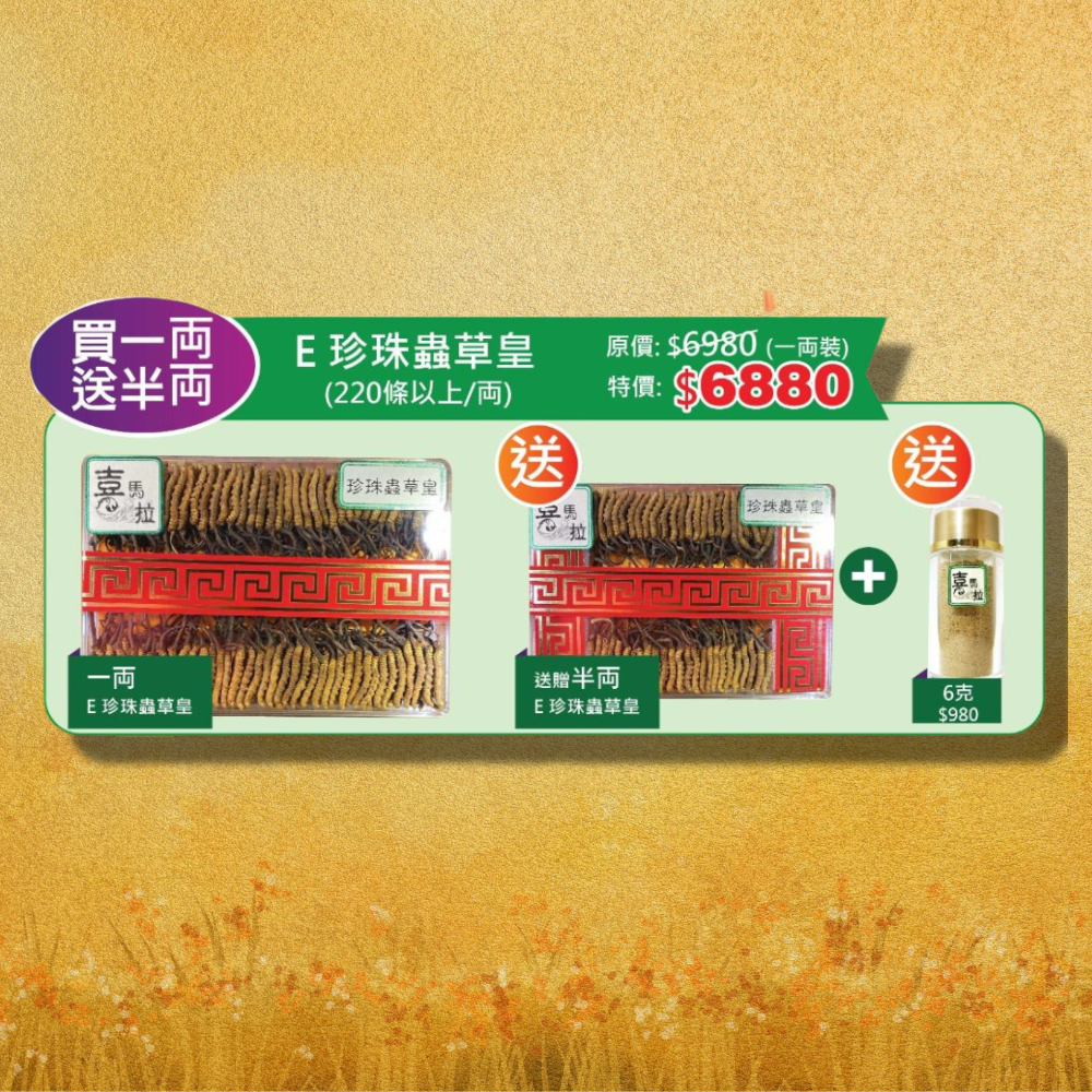 [買一両 送半両] E 珍珠蟲草皇（220條以上/両）