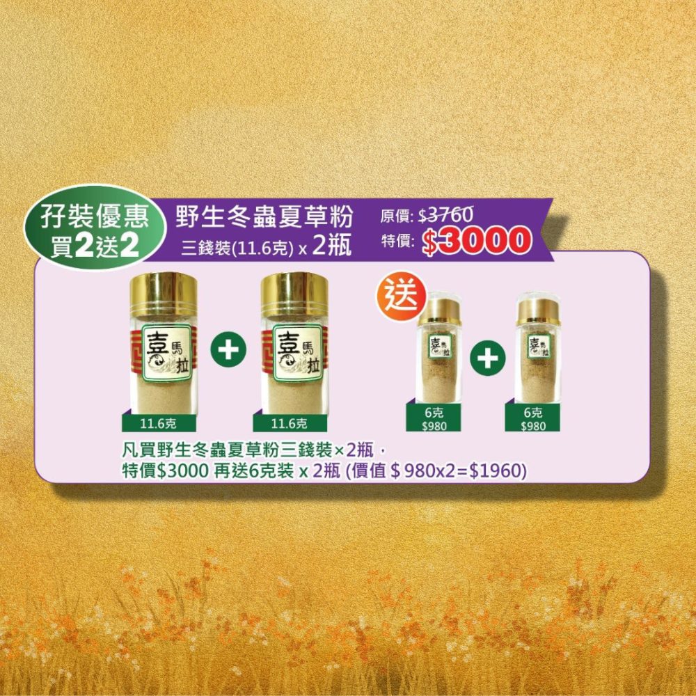 [孖裝優惠!買2送2] 野生冬蟲夏草粉